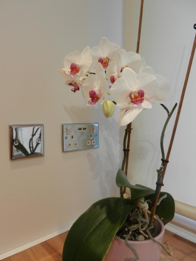 Boynton Hill B&B Nottingham Bagian luar foto